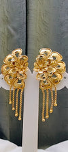 Earring 24crt gold plated