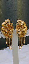 Earring 24crt gold plated
